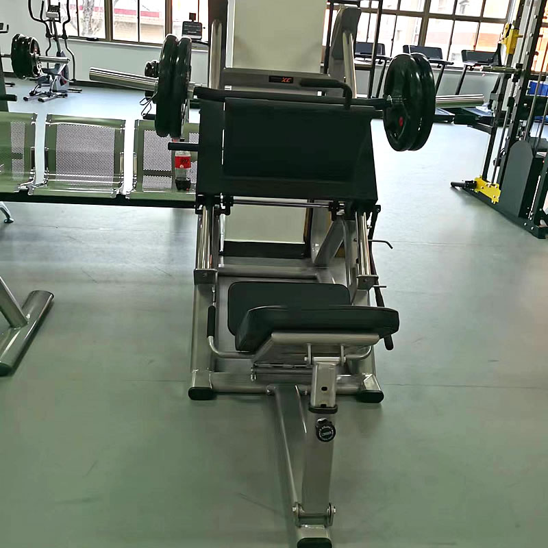 JX-833JX-833 JX-833 ID:1363 商用倒蹬機(jī)