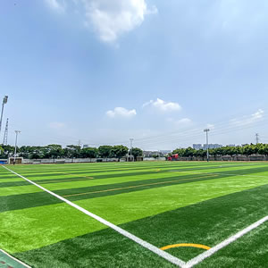 其它運(yùn)動(dòng)場(chǎng)地 Football field