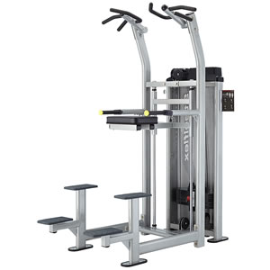 Steelflex HCD2100 助力式輔助單雙杠雙功能力量訓(xùn)練器