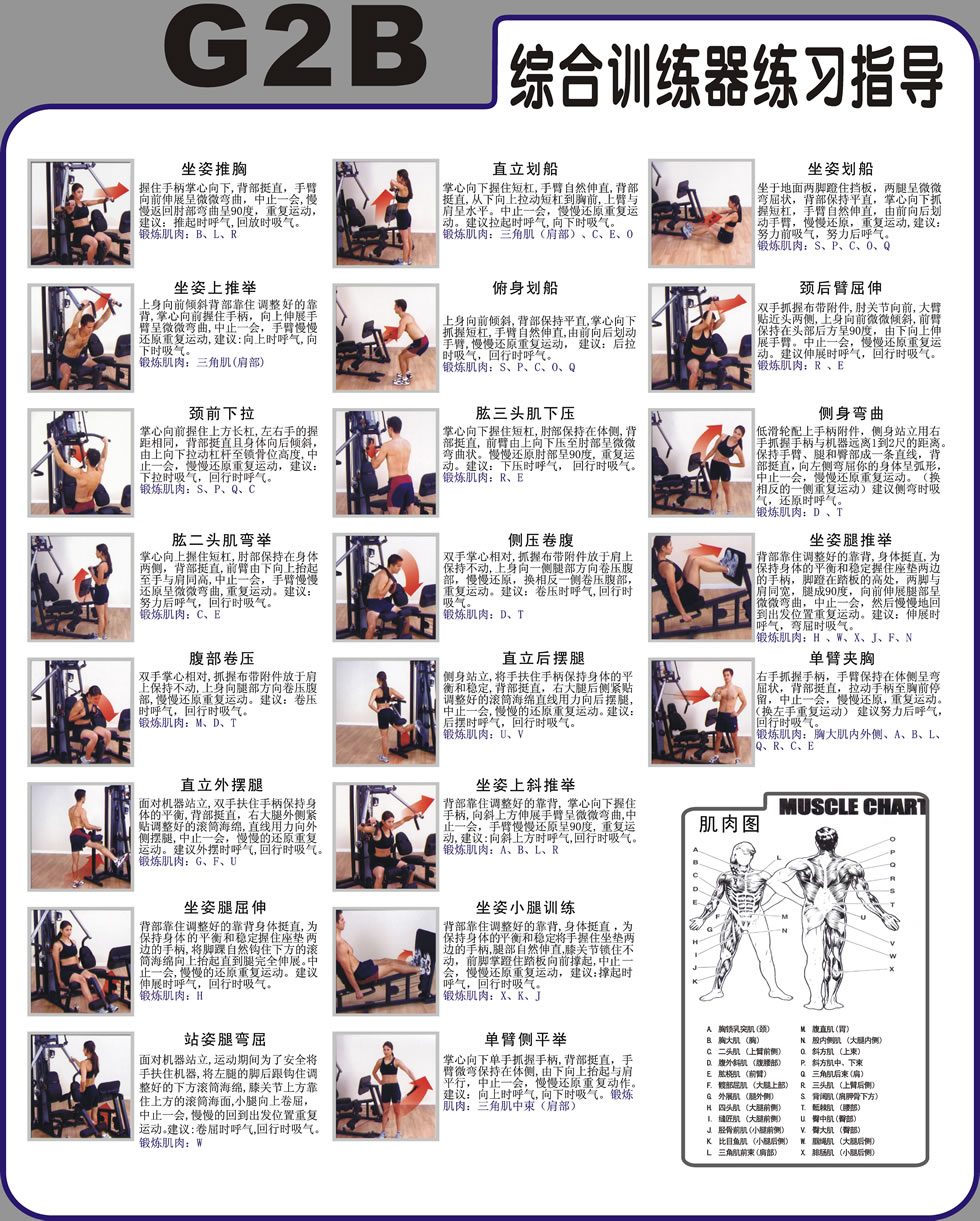 Body-Solid G2B <mark><a target='_blank' href='/zonghexunlianqi.html'>綜合訓(xùn)練器</a></mark>訓(xùn)練動(dòng)作